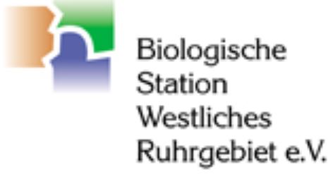 Logo BSWR